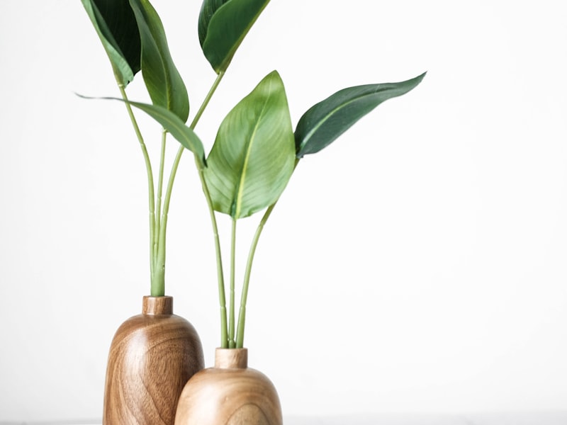 Eco-Friendly Collection
