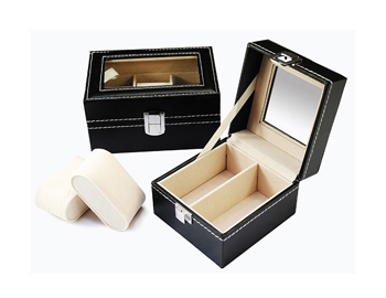 Watch Cases