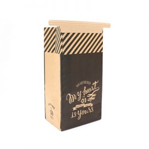 Brown kraft apple wrapping paper bag