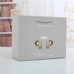 Birthday cute gift eco friendly paper bag