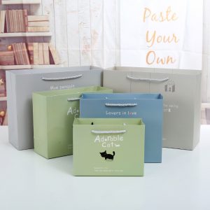 Birthday cute gift eco friendly paper bag