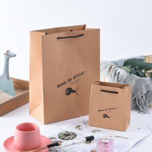Eco friendly shopping paper bag with handle