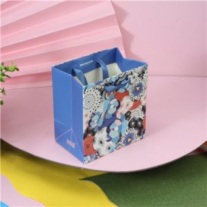 Fashion printed gift paper bag