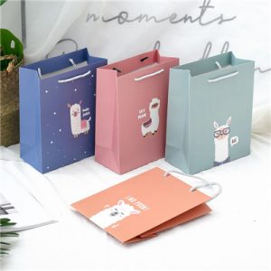 High quality durable clothing packaging paper bag 6