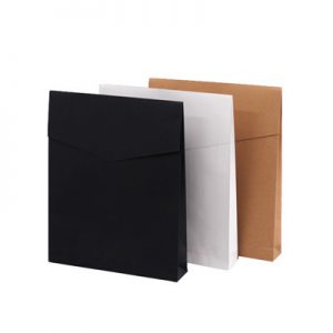 Paper mailing bags 12