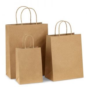 White and brown kraft paper twisted handle carrier bag