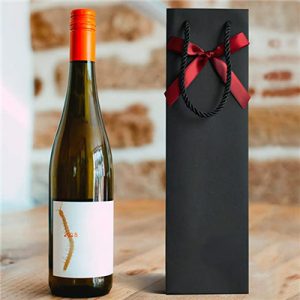 High capacity wine paper bag