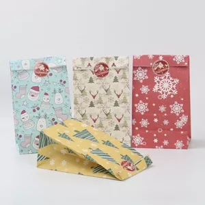 Christmas Paper Bag 7