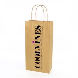 Natural Kraft Paper Bag 10