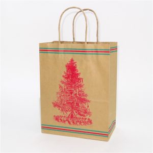 Natural Kraft Paper Bag 11