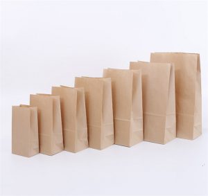 Paper Bag Without Handle 10