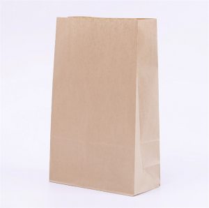 Paper Bag Without Handle 11