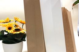 Paper Bag Without Handle 13