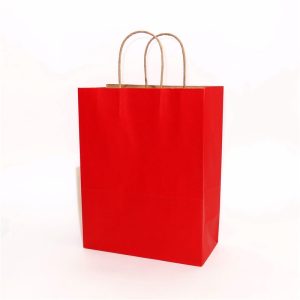 Pure Color Kraft Paper Bag 1