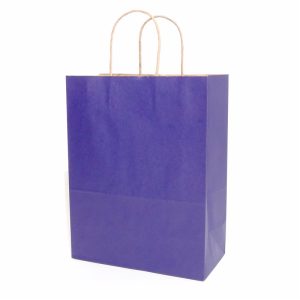 Pure Color Kraft Paper Bag 2