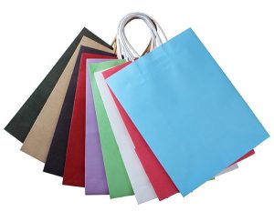 Pure Color Kraft Paper Bag 3