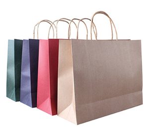 Pure Color Kraft Paper Bag 5