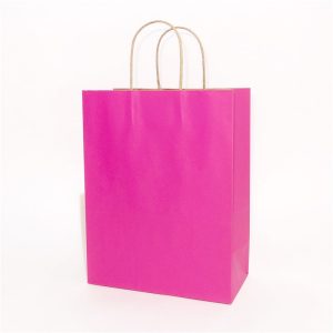 Pure Color Kraft Paper Bag 6